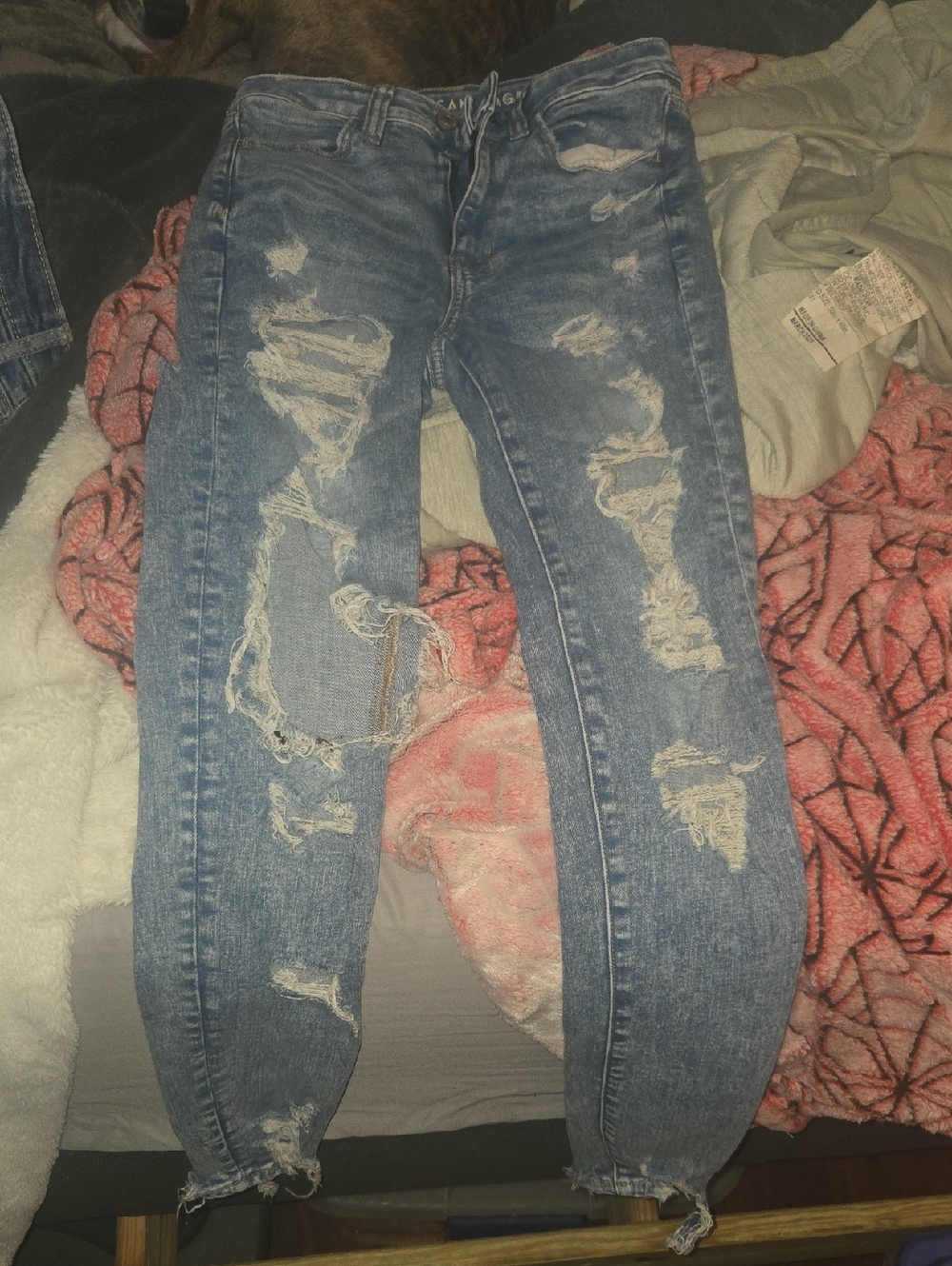 American Eagle Outfitters Ripped Light Blue Boyfriend Jeans